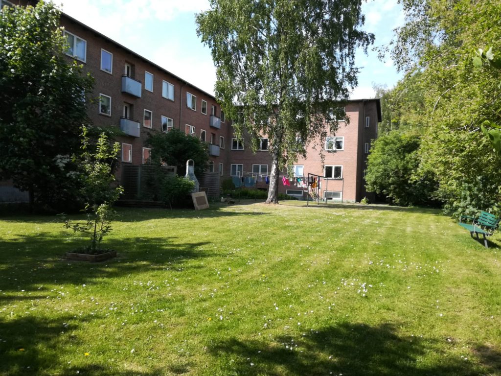 Naturoplevelser. fire-trins-guide Aurora i haven. Gårdhave i Herlev midten. Aurora fløj lige forbi, der må være Korsblomster i nærheden.