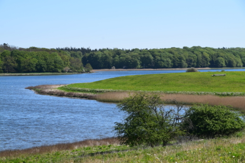 Bognæs og Roskilde fjord. En fantastisk udsigt, her er meget smukt.