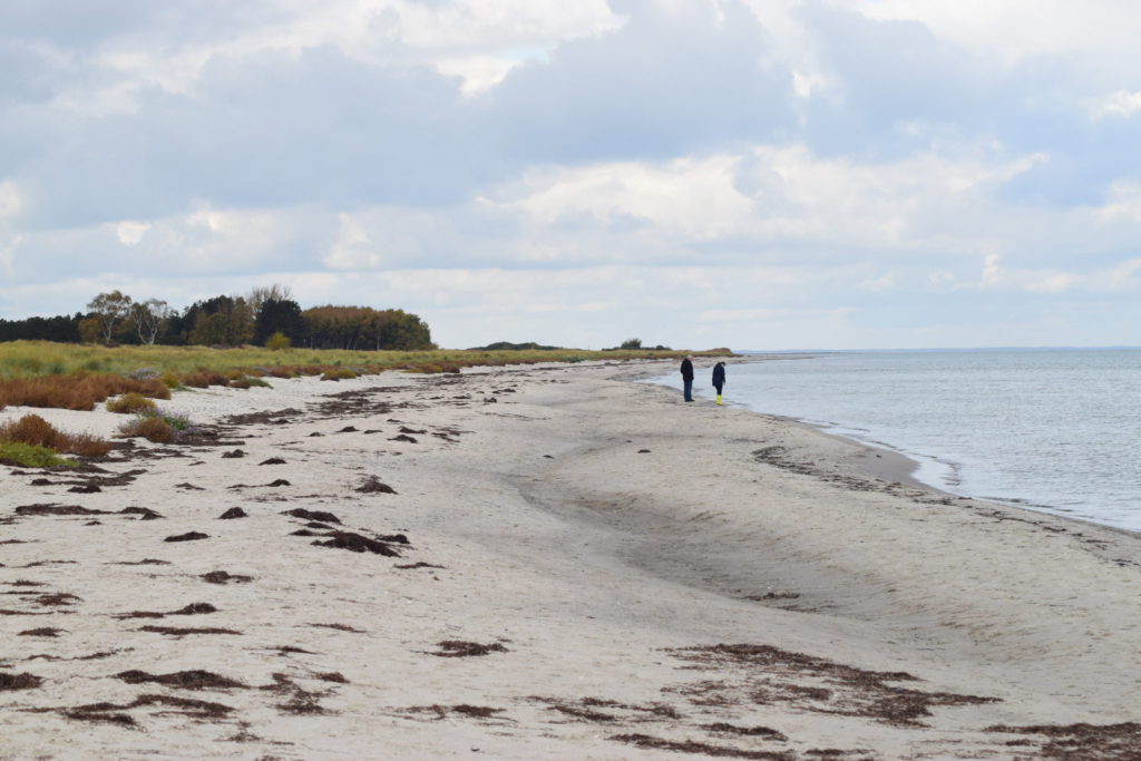 Den smukke Ulvshale Nordstrand i oktober måned. Stranden er også et besøg værd om efteråret. Ulvshale Nordstrand, Oplev spændende Møn.