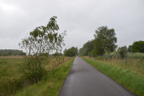 Kanalvej er navnet på en lang asfalteret vej, der løber hele vejen fra den nordvestlige til den sydøstlige del af Kalvebod Fælled. Den er smuk på denne regnfulde dag i maj.