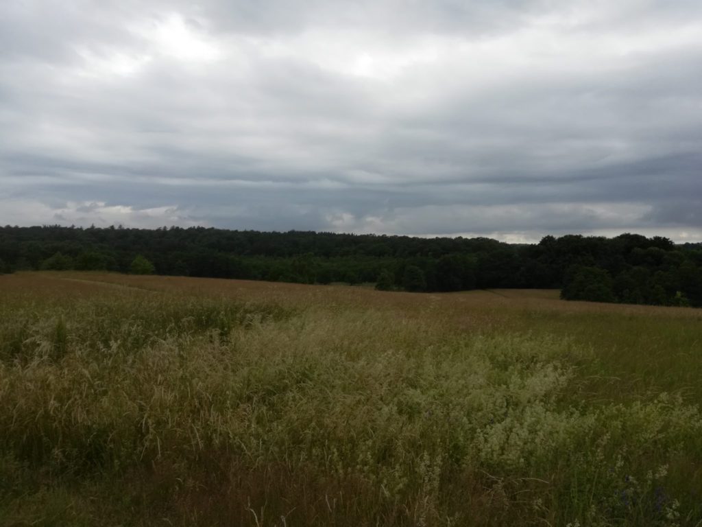 Naturen omkring Farum sø. Naturoplevelser. Violetrandet Ildfugl eftersøgning. Udsigt over Baunesletten. Et meget kuperet område med en smuk udsigt. Et hyggeligt sted at gå rundt.