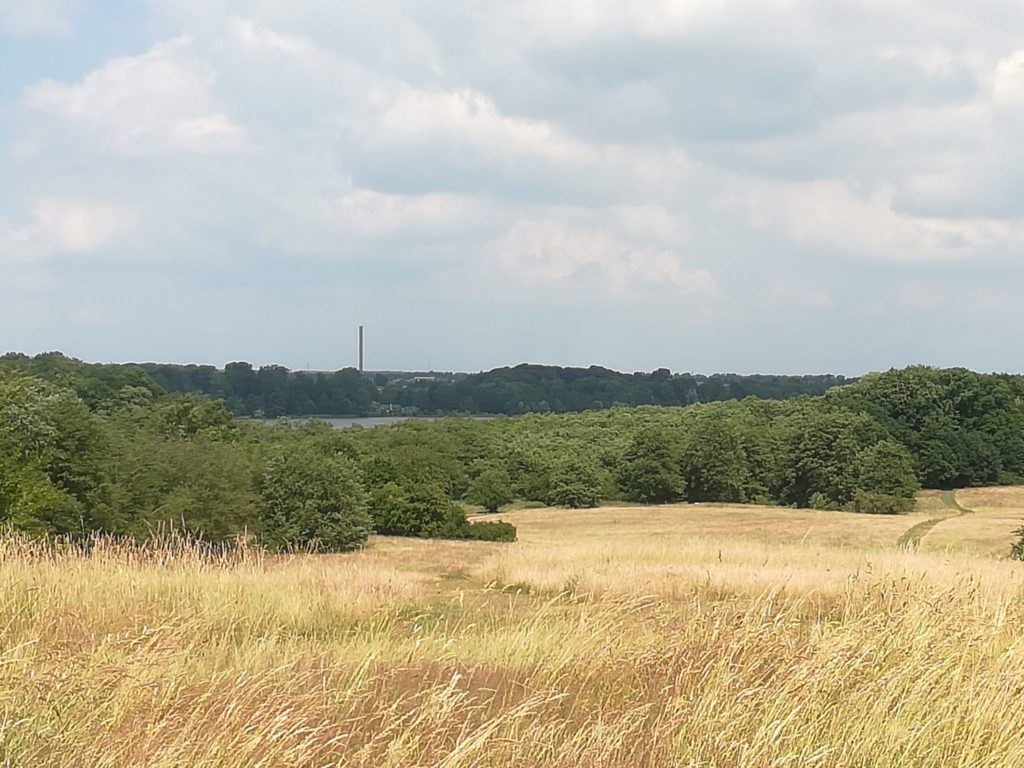 Naturen nær Farum sø. På jagt efter Violetrandet ildfugl (Lycaena hippothoe). Udsigt over Baunesletten og Farum sø: Her kan man rigtig se den store forskel i terrænet - og at det trænger til vand