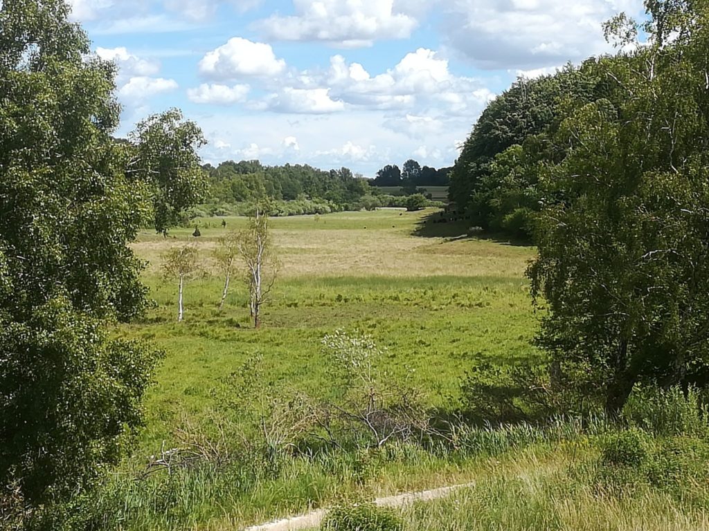 Red den truede Isblåfugl ved Småsøerne. En så skøn udsigt over tunneldalen hvor Småsøerne ligger nede i.