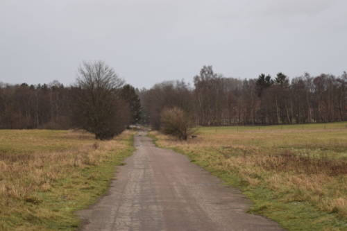 Udsigt over den braklagte del af Violetrandet ildfugls (Lycaena hippthoe) habitat, hvor der er udlagt Insektbrakfelter.