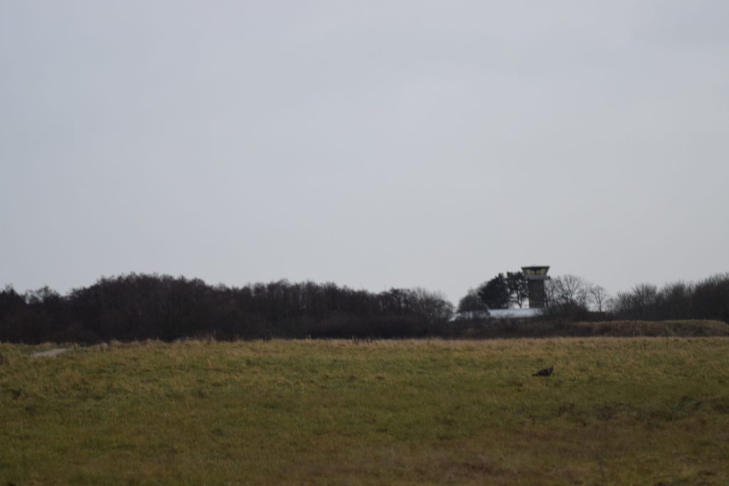 Udsigt over Flyvestation Værløse i januar. Man kan se kontroltårnet i baggrunden. I forgrunden en Musvåge (Buteo buteo).