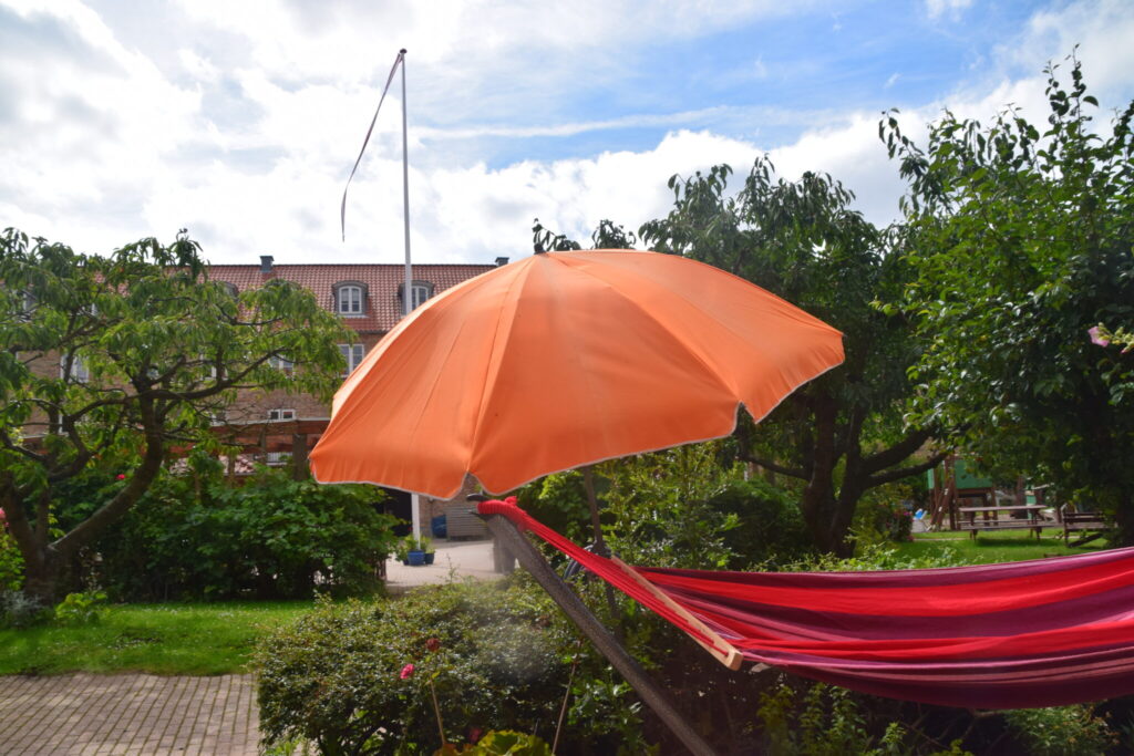 Min byhave sommeren 2020, her med udsigten fra havedøren ud mod gården. Min have sommeren 2020, Haveblog, ildfugl.com.