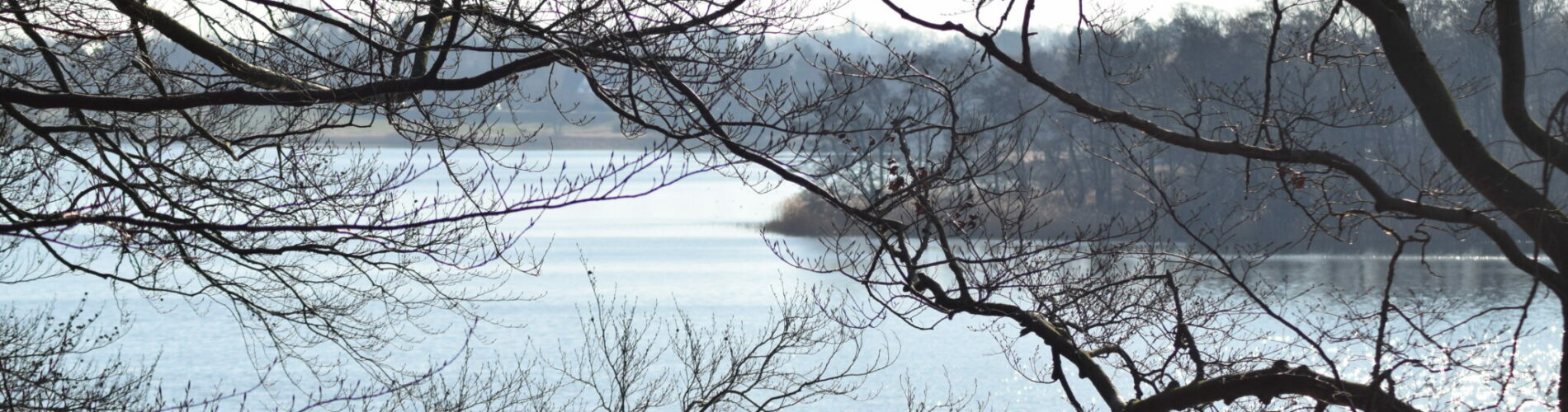 Udsigten over Bagsværd sø fra nordøst (Frederiksdal). Her er helt sikkert også smukt om vinteren. Naturen nær Bagsværd sø.